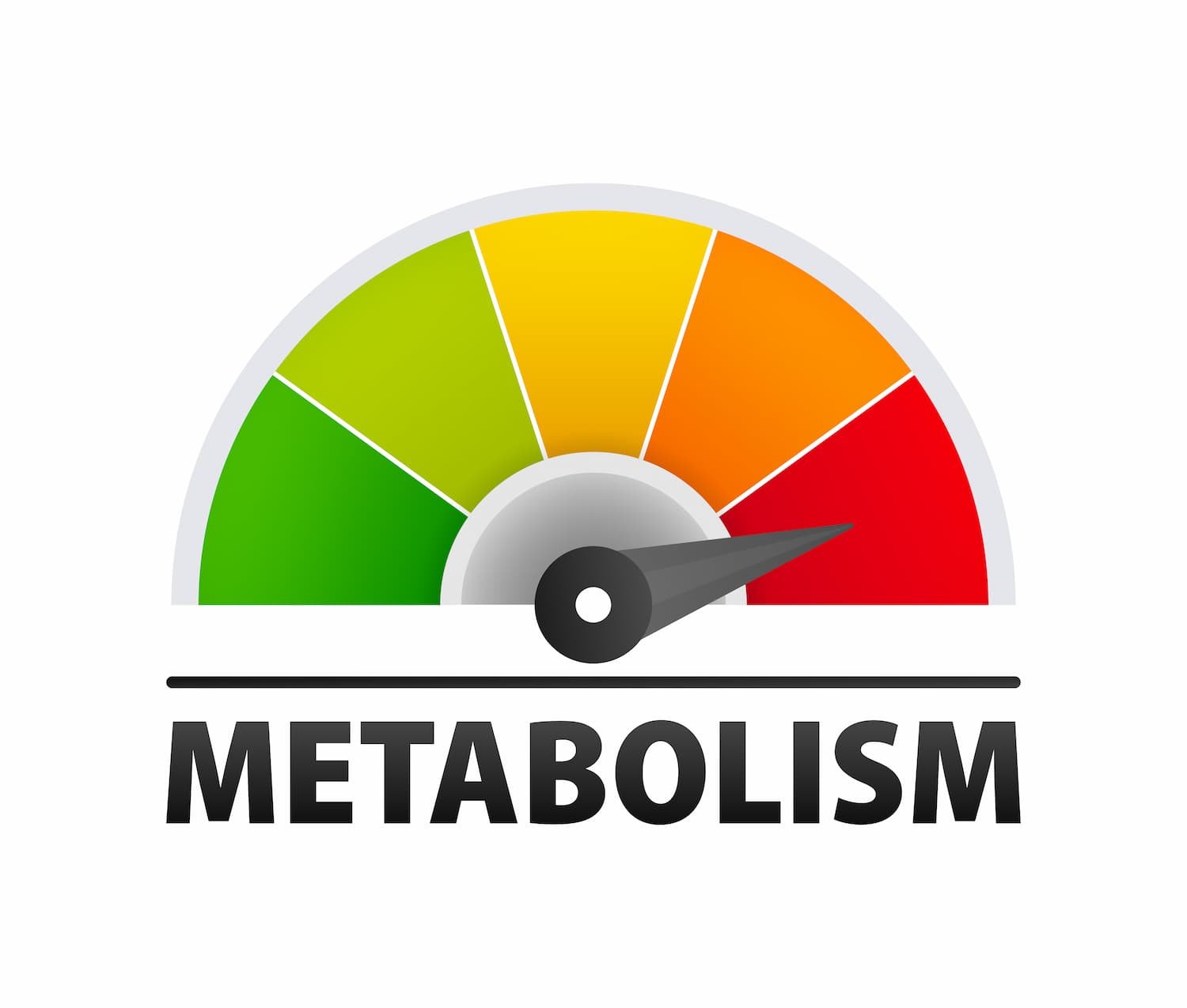 Impact of Processed Foods on Metabolism