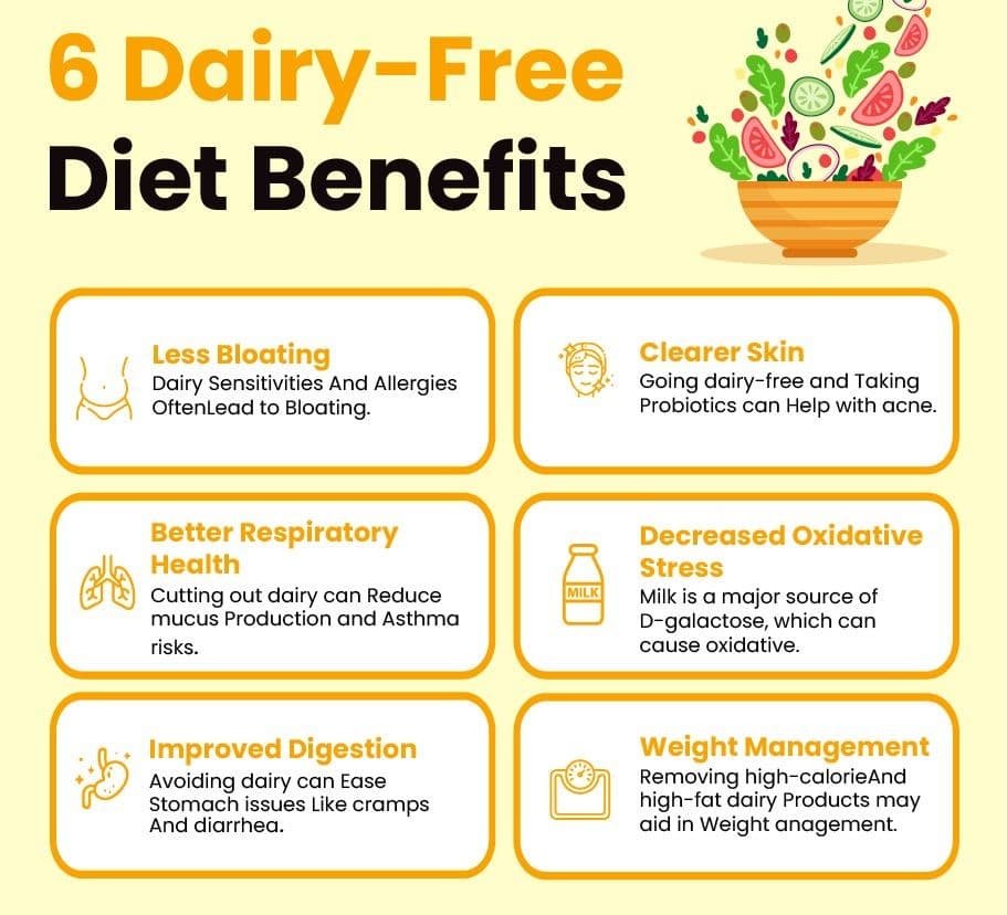 6 Dairy-Free Diet Benefits