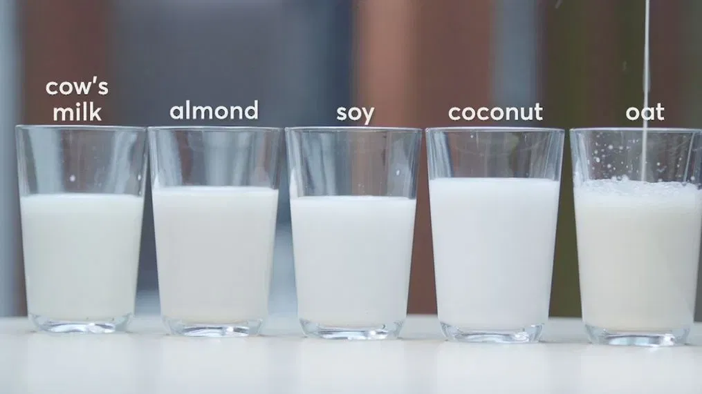 Plant-Based Milk Alternatives