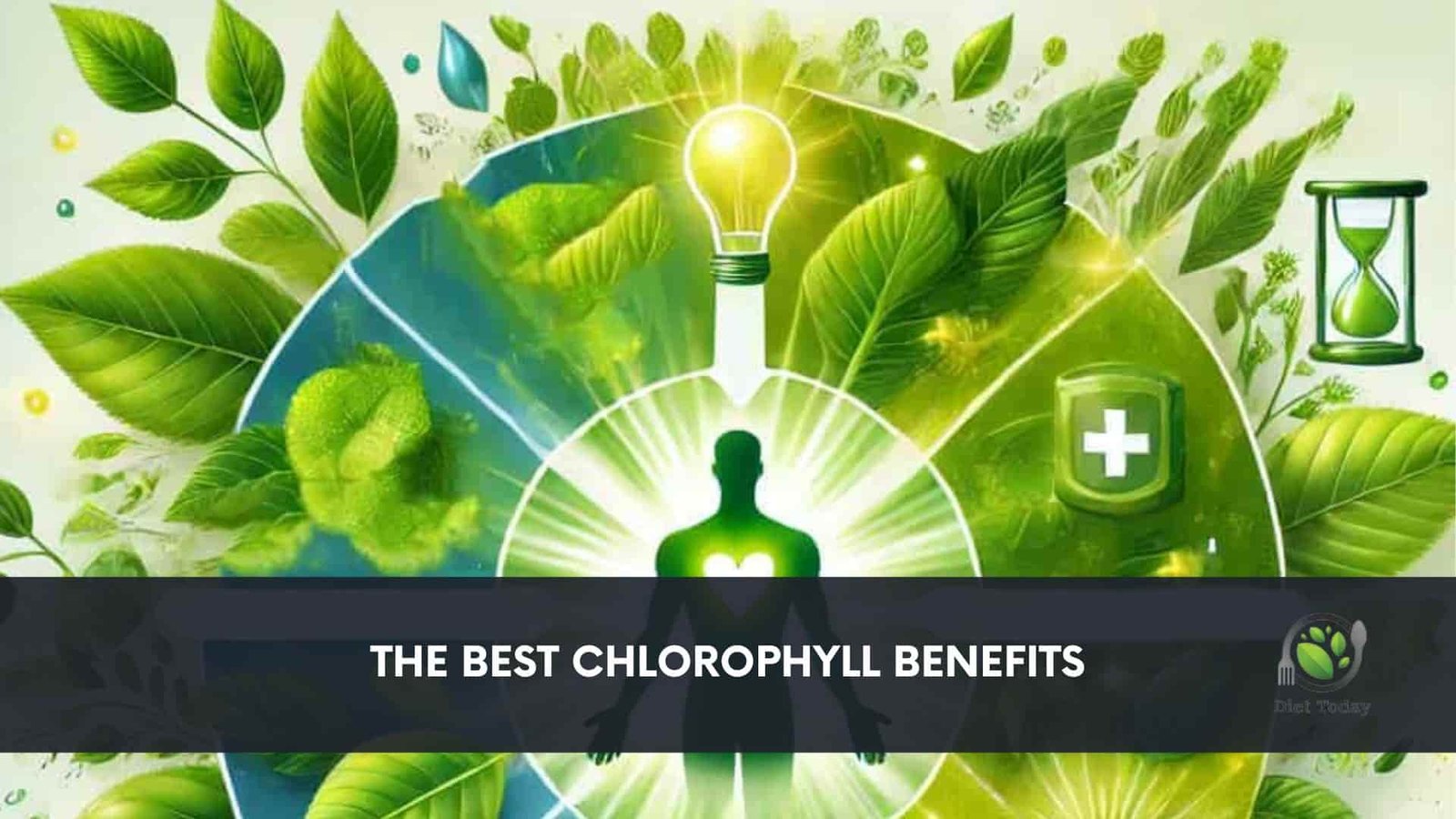 The Best Chlorophyll Benefits: Nature’s Secret to a Healthier You