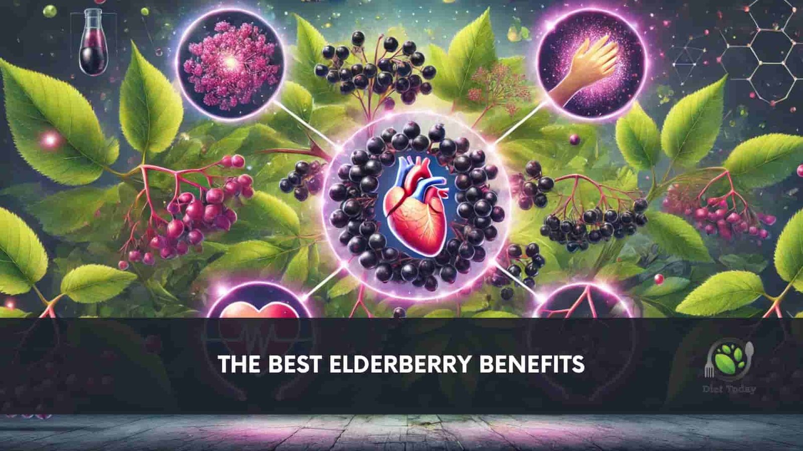 The Best Elderberry Benefits Why This Berry Packs a Healthy Punch